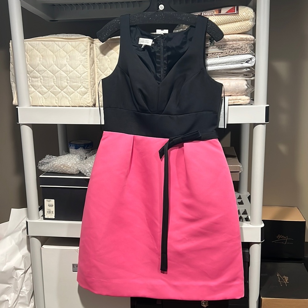 NWT Teri John dress